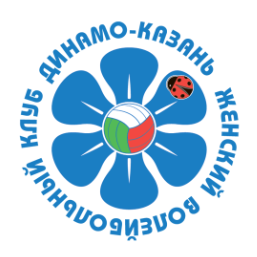 Динамо-Ак Барс, Казань логотип