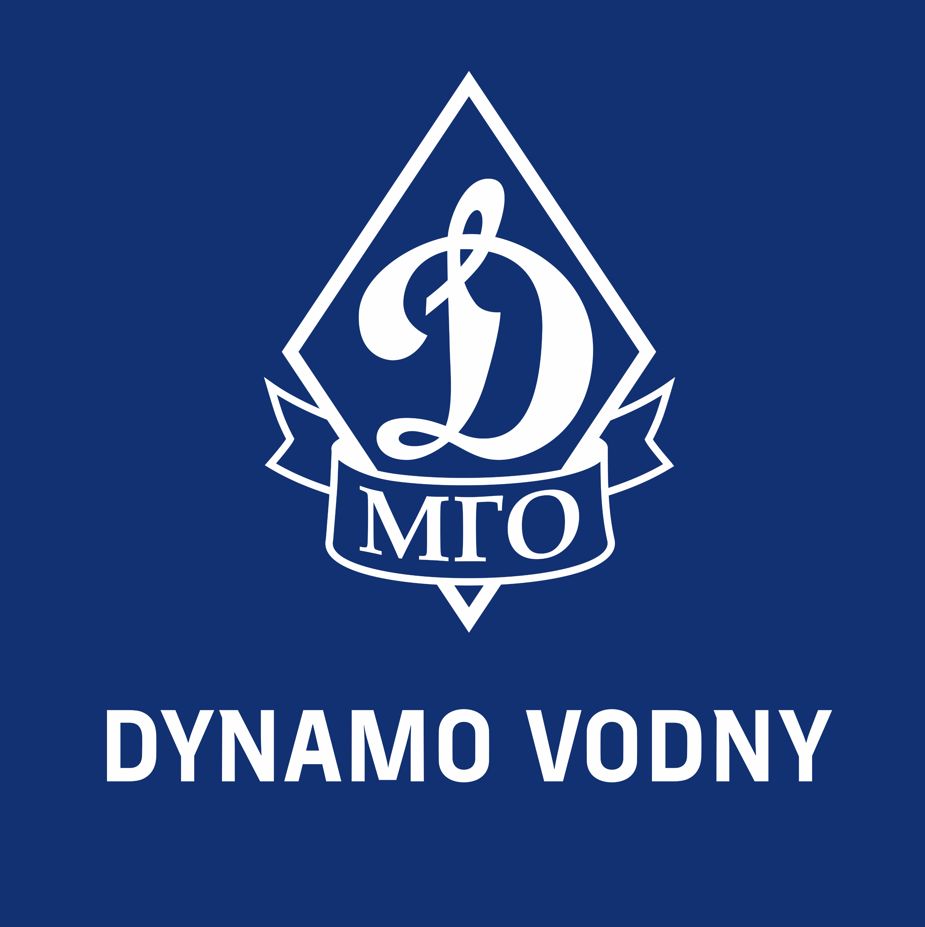  Динамо-Водный стадион, Москва логотип