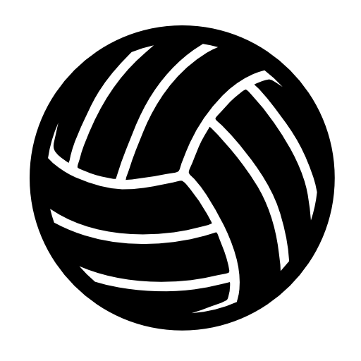 Серебряный мяч логотип