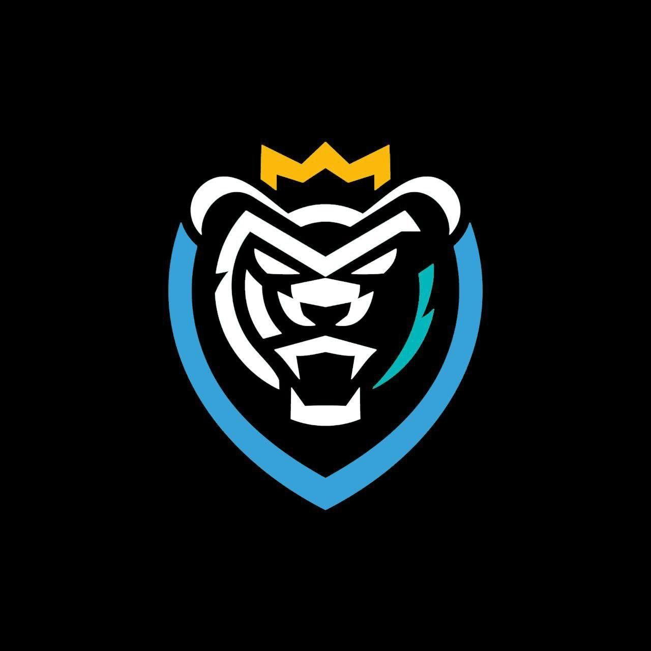 Альянс-ГеоГрадСтрой логотип